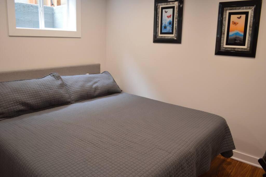 Cozy 1 Bedroom In Nw W/ Private Patio * Seattle